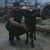 Lee Porterfield's profile image