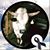 Ricardo Salazar's profile image
