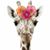 Stephanie Ashcraft's profile image