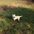 Paul T Sharman's profile image