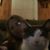 Sarah Hostrawser Zimmer's profile image