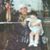 Malak Zoubi's profile image