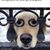 Cheryl Gobble McGhee's profile image