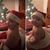 Jillian Hamlin's profile image
