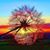 Cathy Berns's profile image