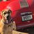 Mary Melsheimer Fischer's profile image