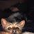 Diane Leon's profile image