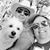 Anne Thiel Aparicio's profile image