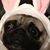 Lisa Haugen's profile image