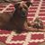 Sonia Gutierrez's profile image