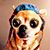 Mark Coffelt's profile image