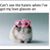 L Cheryl Elliston's profile image