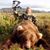 Kevin Golden's profile image