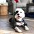 Bao Ngo's profile image