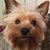 Angie Day's profile image
