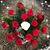 Renia Chowaniec's profile image
