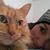 Kat Kersten's profile image