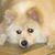 Sherri Bloom's profile image
