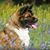 Wendy Sorrell's profile image