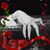 Sharon Thorne's profile image