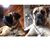 Vicki Heck McWilliams's profile image