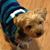 Kathy Seidler's profile image