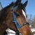 Rhonda Schroeder Mager's profile image