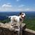 Kathy Cullifer's profile image