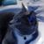 Sharon Fairchild Meager's profile image