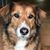 Sally Haffner's profile image