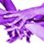 Rodrigo Daly's profile image