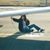 Gretchen Spriggs's profile image