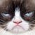 Judith Mauritzen's profile image