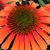 Loretta McBee Strong's profile image