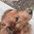 Nancy E. Susca's profile image