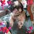 Judy Morin's profile image