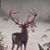 Jeff Fuchs's profile image
