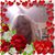 Joyanne Vail's profile image