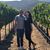 Rachel Nipper's profile image