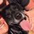Gary Eaton's profile image