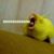 Daniel Scarano's profile image