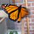 Tracy Jean Otto Knable's profile image