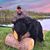 Henry Moncrief's profile image