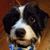 Diane Brannon-Keech's profile image