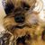 Dawn Williams's profile image