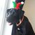 Suzanne Stubbs Lansard's profile image