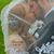 Anna Redeker's profile image