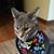 Linda Kistler Snedeker's profile image