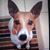Katherine Mazur's profile image