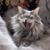 Dorothy Dawson-sheldon's profile image